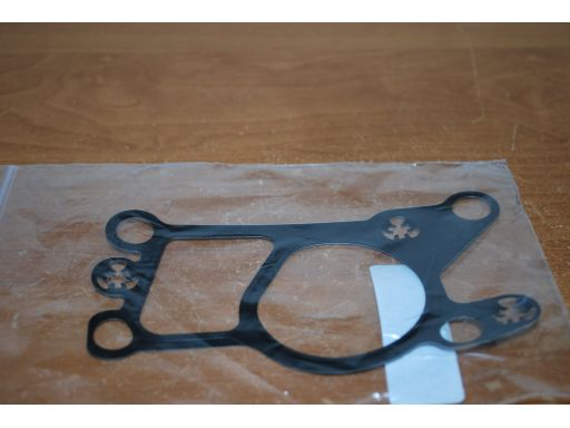 Uszczelnienie Zaworu Egr 752.070