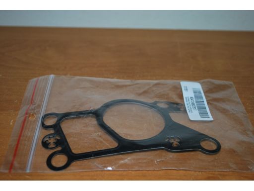 Uszczelnienie Zaworu Egr 752.070