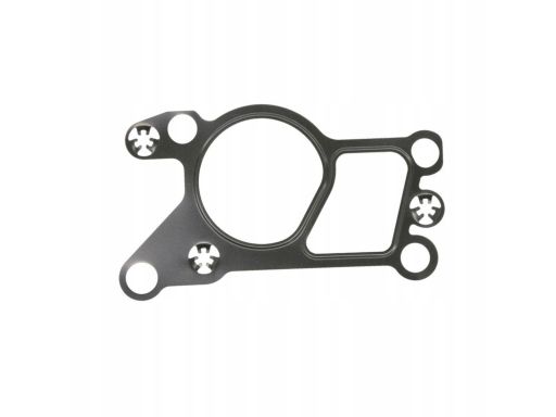 Uszczelnienie Zaworu Egr 752.070