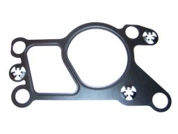 Uszczelnienie Zaworu Egr 752.070