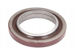 Uszczelniacz Wału Korbowego 81-10067-00