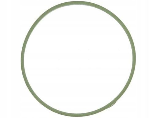 Uszczelka Rury Kolektora Dolotowego 005.080