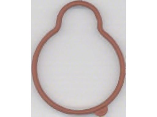 Uszczelka Kolektora Dolotowego 181.340