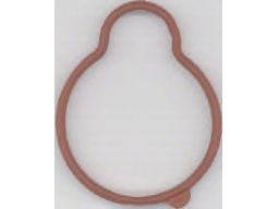 Uszczelka Kolektora Dolotowego 181.340