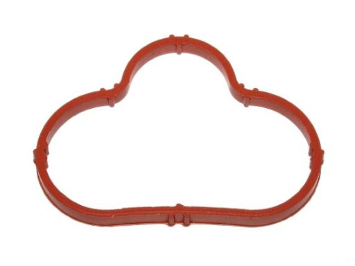 Uszczelka Kolektora Dolotowego 216.500