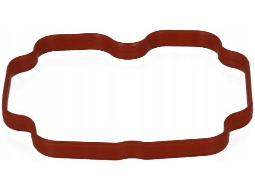 Uszczelka Rury Kolektora Dolotowego 266.270