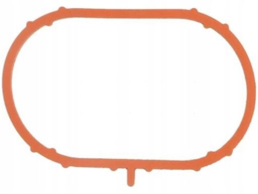 Uszczelka Kolektora Dolotowego 273.570