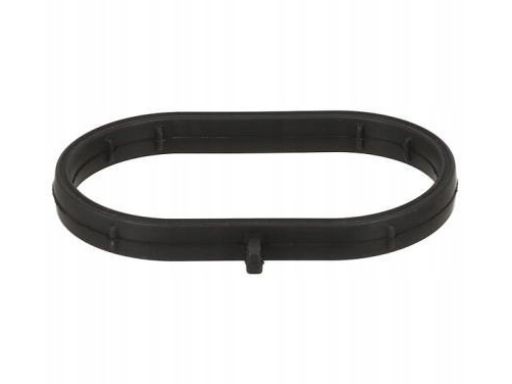 Uszczelka Rury Kolektora Dolotowego 330.170