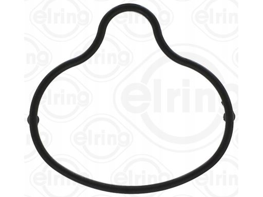 Uszczelka Kolektora Dolotowego 727.920