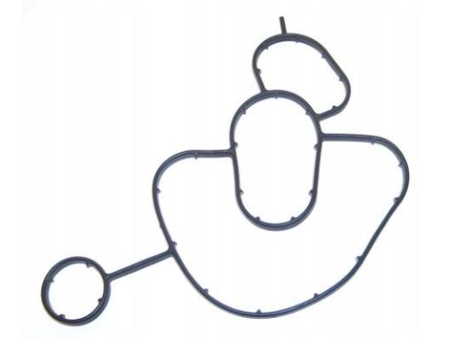 Uszczelka Obudowy Filtra Oleju 732.460