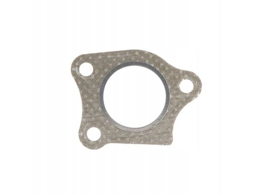 Uszczelka Turbosprężarki 738.470