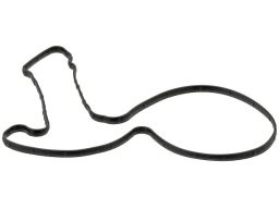 Uszczelka Pompy Cieczy Chłodzącej 800.630