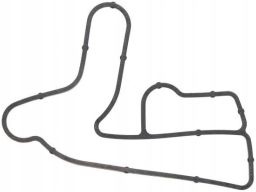 Uszczelka Chłodnicy Oleju 868.020