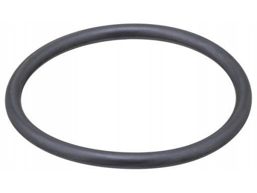 Uszczelka Obudowy Filtra Powietrza 897.580