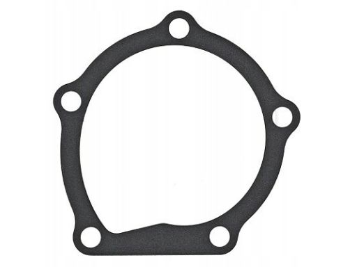 Uszczelka Pompy Cieczy Chłodzącej 925.170