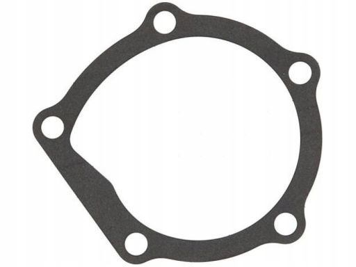 Uszczelka Pompy Cieczy Chłodzącej 925.170