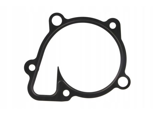 Uszczelka Pompy Cieczy Chłodzącej 966.860