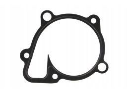 Uszczelka Pompy Cieczy Chłodzącej 966.860