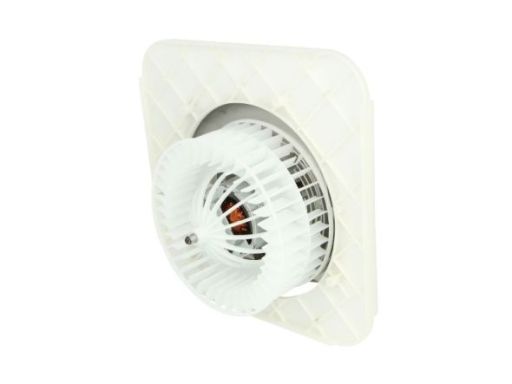 Ddm017Tt Dmuchawa Ddm017Tt Thermotec