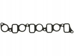 Uszczelka Kolektora Dolotowego 848.460