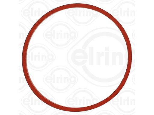 Uszczelka Kolektora Dolotowego 870.780