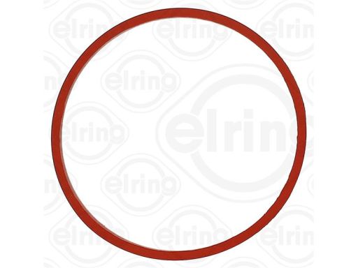 Uszczelka Kolektora Dolotowego 870.780