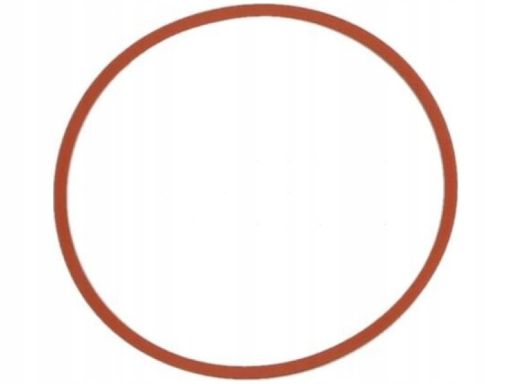 Uszczelka Kolektora Dolotowego 870.780