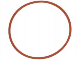 Uszczelka Kolektora Dolotowego 870.780