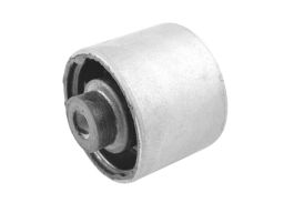 Mocowanie Dyferencjalu 01160782