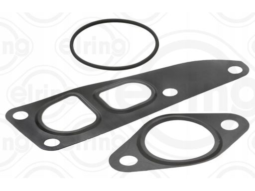 Zestaw Uszczelek Systemu Agr 934.920