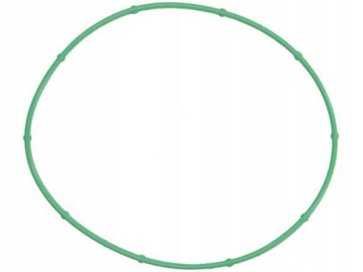 Uszczelka Rury Kolektora Dolotowego 942.220