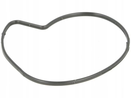 Uszczelka Pompy Cieczy Chłodzącej 335.580