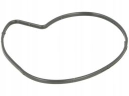 Uszczelka Pompy Cieczy Chłodzącej 335.580