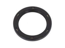 Uszczelniacz Wału Korbowego 20018317B