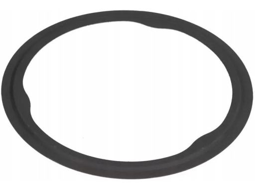 Uszczelka Rury Wydechowej 514.841