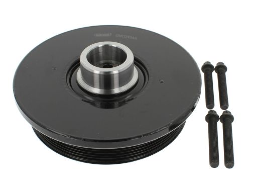 Zestaw Koła Pasowego Wału Korbowego 49419114