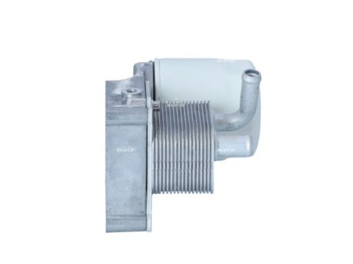 Chłodnica Oleju 31194