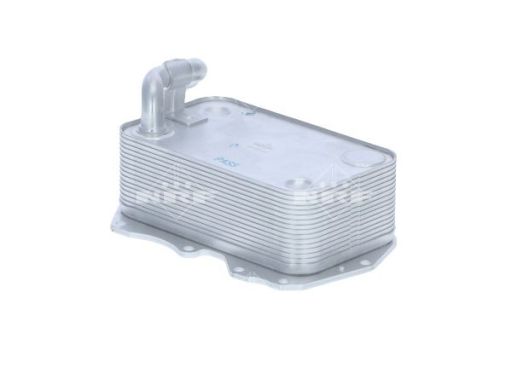 Chłodnica Oleju 31271