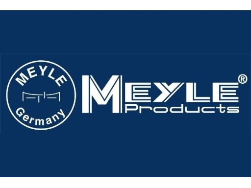 Łącznik/Wspornik Stabilizatora 216 060 0031