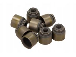 12-53457-01 Zestaw Uszczelniaczy Trzonka Zaworów 12-53457-01 Reinz