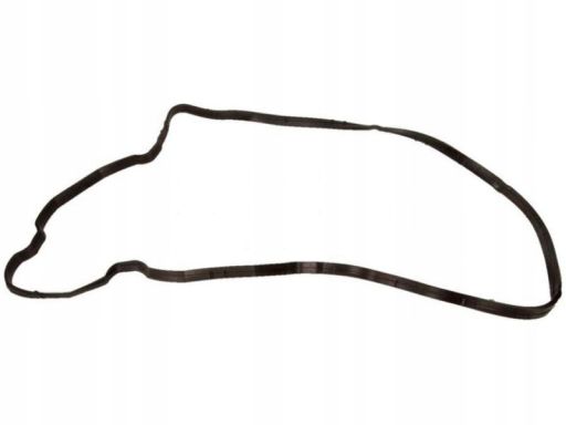 71-10040-00 Uszczelka Kolektora Dolotowego 71-10040-00 Reinz