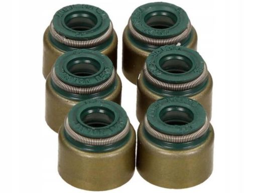 12-52939-02 Zestaw Uszczelniaczy Trzonka Zaworów 12-52939-02 Reinz