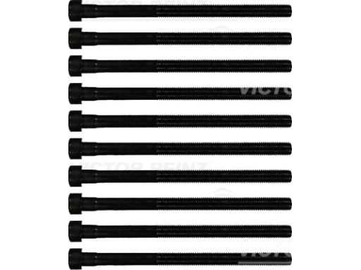 14-10213-01 Zestaw Śrub Głowicy Cylindrów 14-10213-01 Reinz