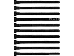 14-10213-01 Zestaw Śrub Głowicy Cylindrów 14-10213-01 Reinz