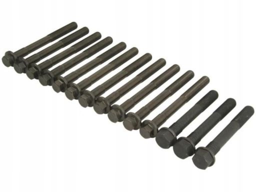 14-32284-03 Zestaw Śrub Głowicy Cylindrów 14-32284-03 Reinz