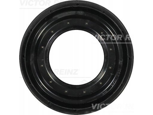 81-31377-00 Uszczelniacz Wałka Atakującego 81-31377-00 Reinz