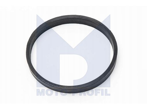 71-34473-00 Uszczelka Kolektora Dolotowego 71-34473-00 Reinz