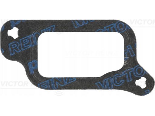 71-34884-00 Uszczelka Kolektora Dolotowego 71-34884-00 Reinz