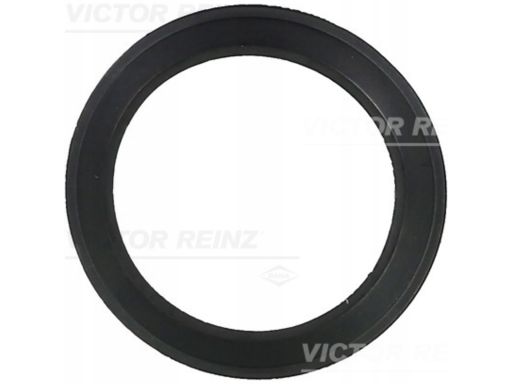 71-36061-00 Uszczelka Rury Kolektora Dolotowego 71-36061-00 Reinz