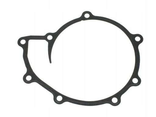 71-36711-00 Uszczelka Pompy Cieczy Chłodzącej 71-36711-00 Reinz